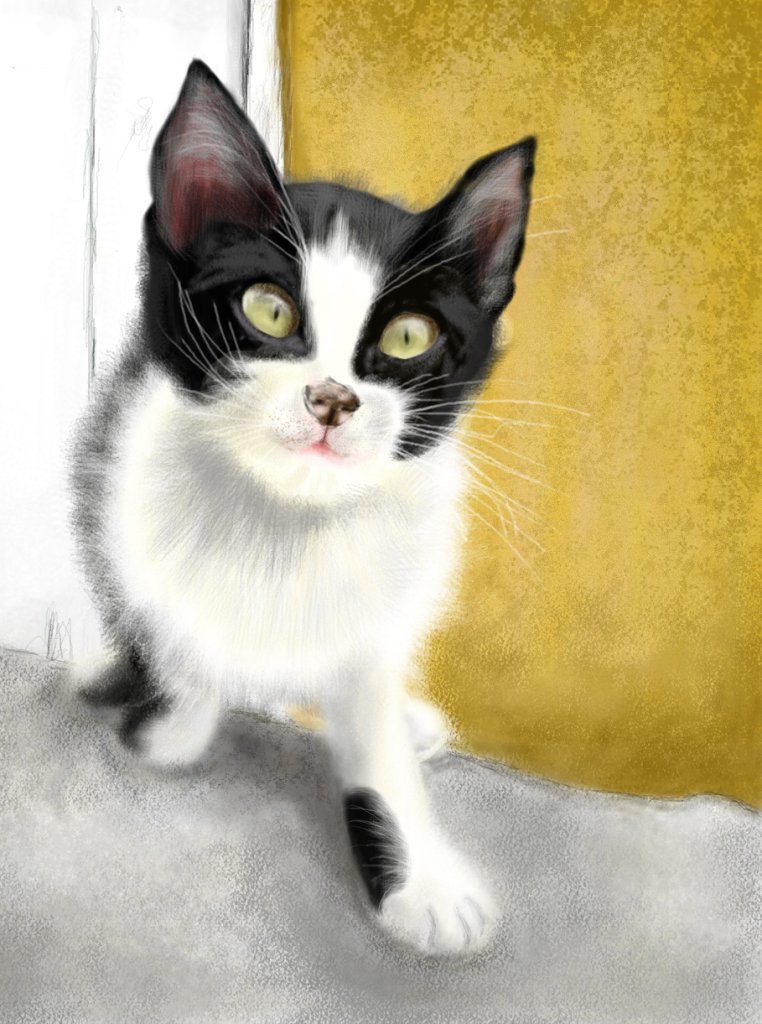 Painting. A cat with black and white fur, green, shiny eyes is getting closer.