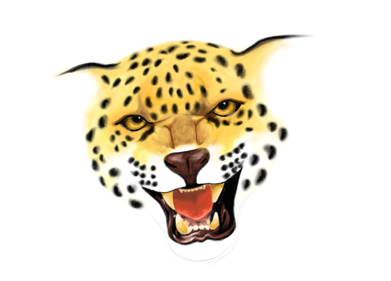 Digital painting. A jaguar staring at the viewer and showing its fangs.