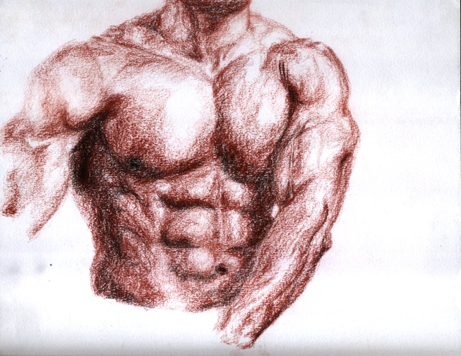 Drawing in sanguine and charcoal of a muscled man doing exercise.