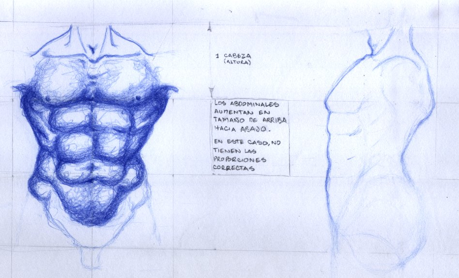 Dibujo: torso en ultramar.